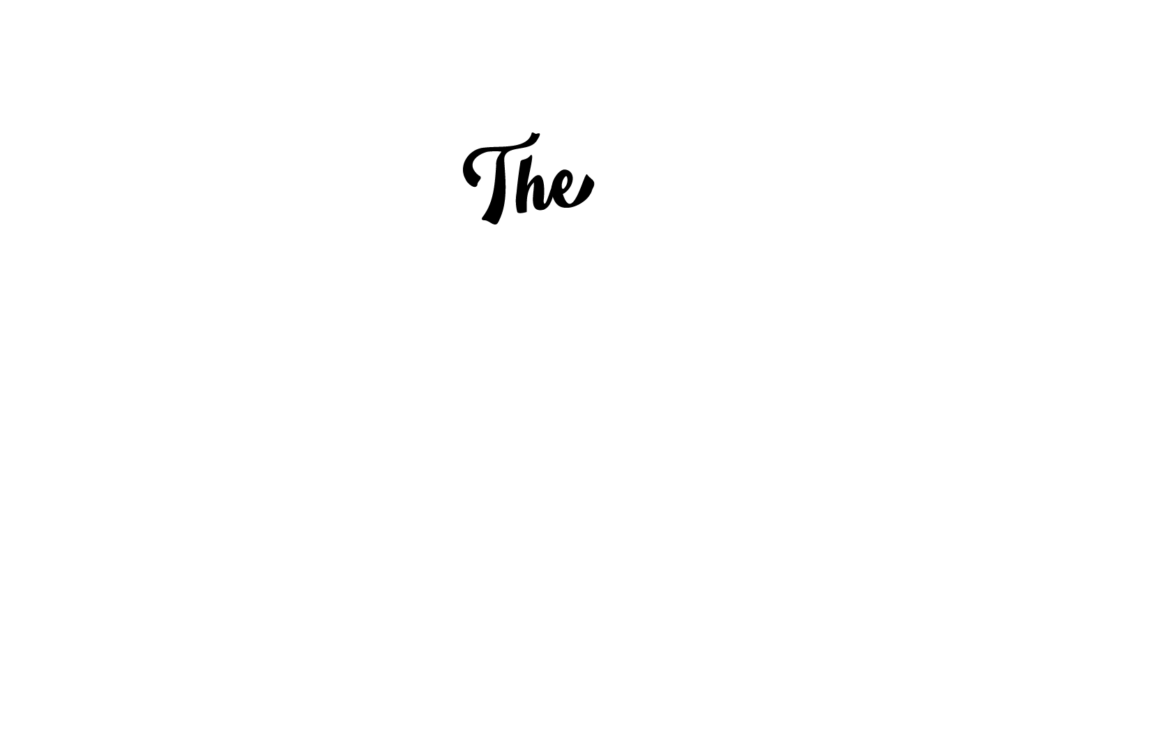 the panther collective uni